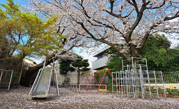 倉田瑛茉 　幼稚園